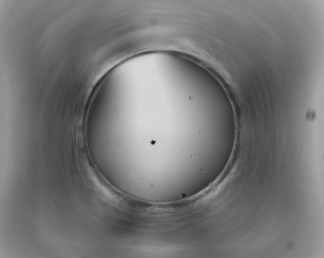 X0000091571513200709051027