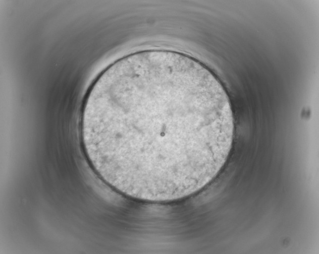 X0000091571514200709051027
