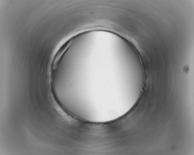 X0000091571516200709051027