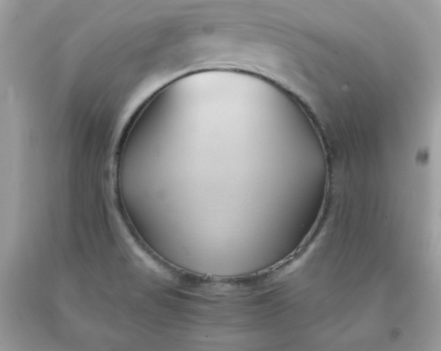X0000091571517200709051027