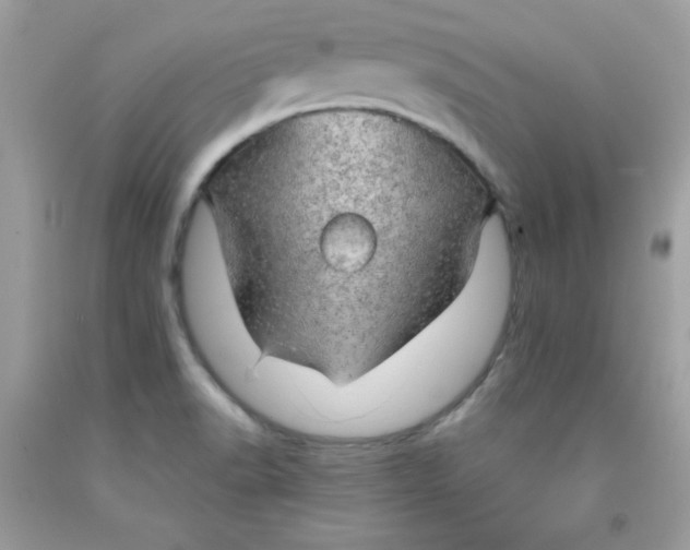 X0000091571518200709051028