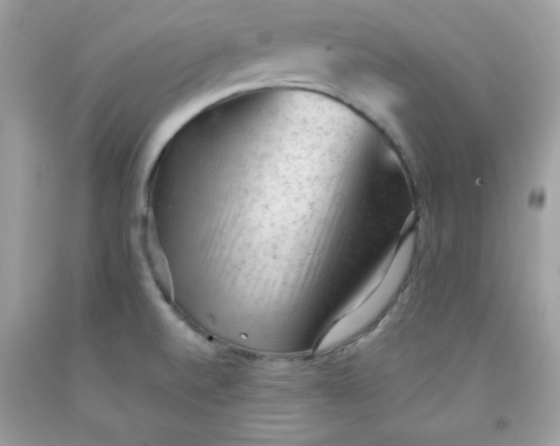 X0000091571520200709051028