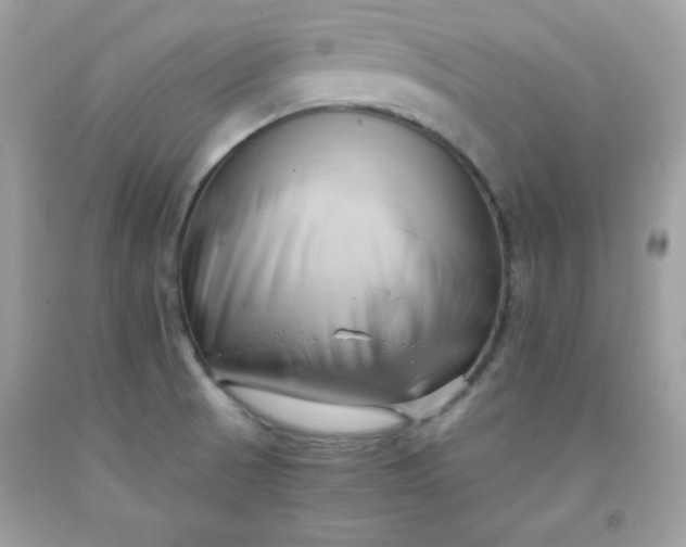 X0000091571521200709051028