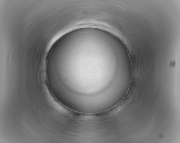 X0000091571522200709051028