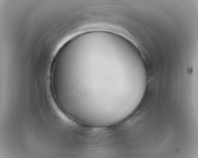 X0000091571523200709051028