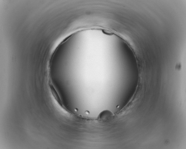 X0000091571524200709051028