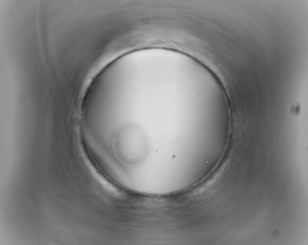 X0000091571525200709051028