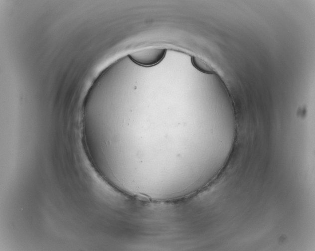 X0000091571526200709051028
