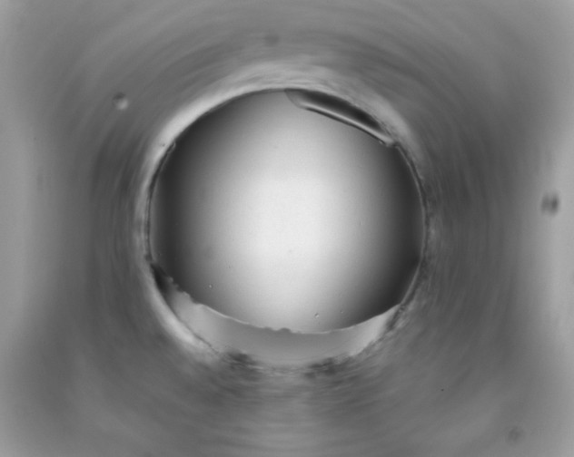 X0000091571528200709051028