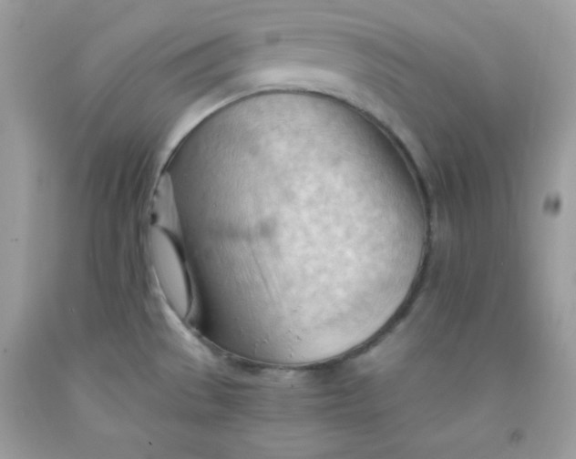 X0000091571529200709051028