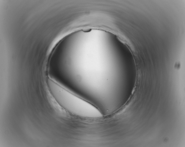 X0000091571530200709051028