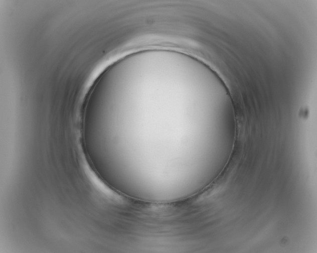 X0000091571531200709051028