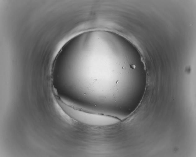 X0000091571532200709051028