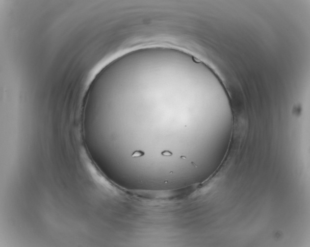 X0000091571534200709051028