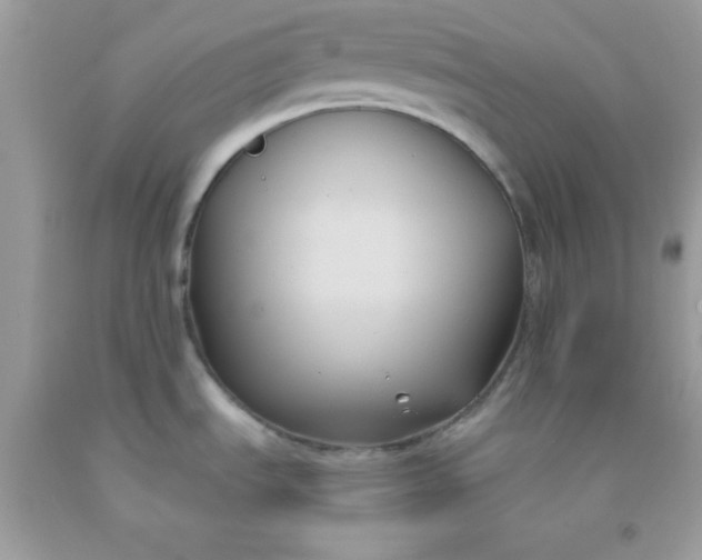 X0000091571535200709051028