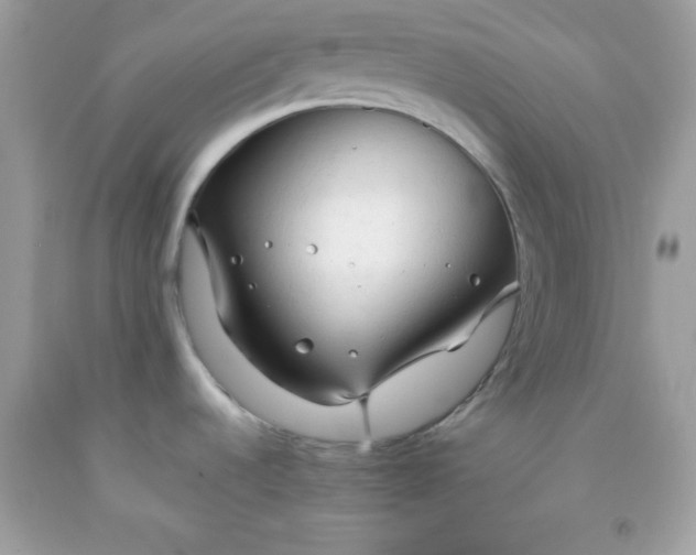 X0000091571536200709051028