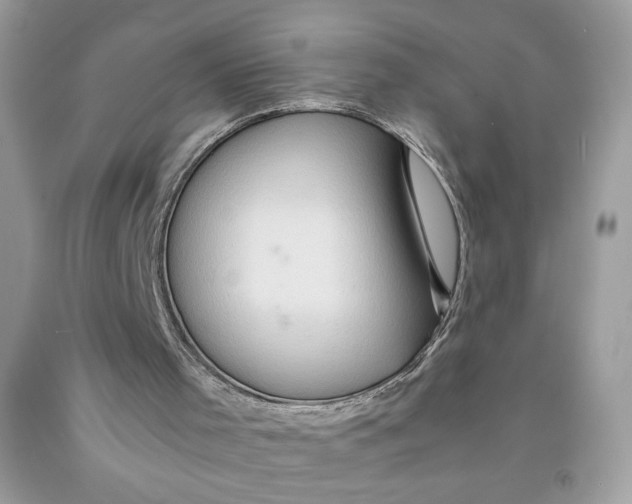 X0000091570001200709101007