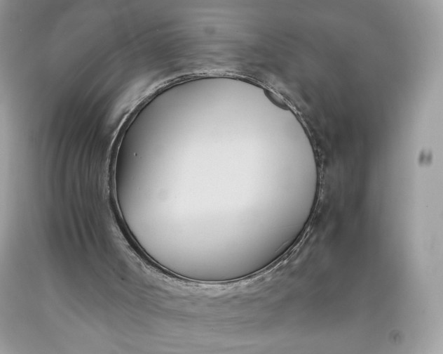 X0000091570002200709101007