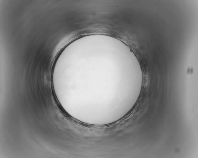 X0000091570004200709101006