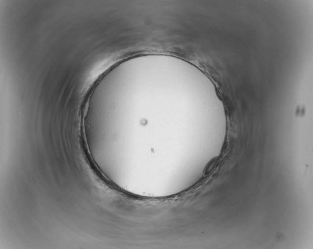 X0000091570005200709101006