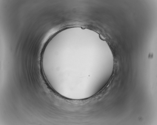 X0000091570006200709101006