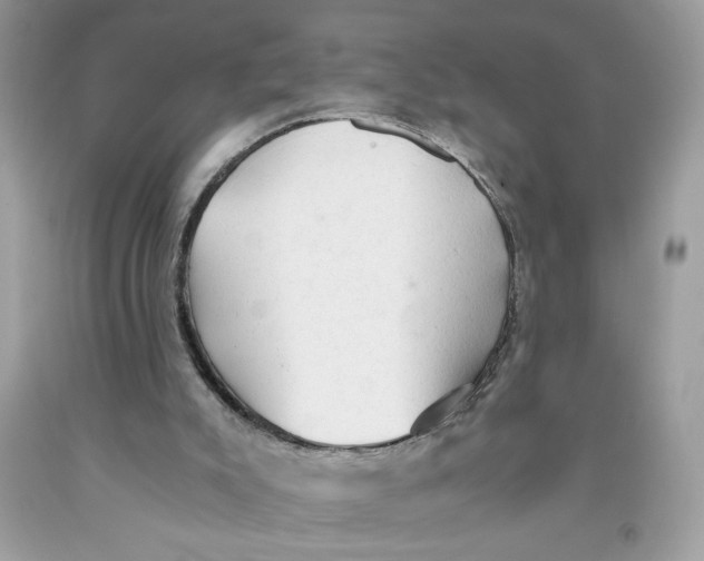 X0000091570007200709101006