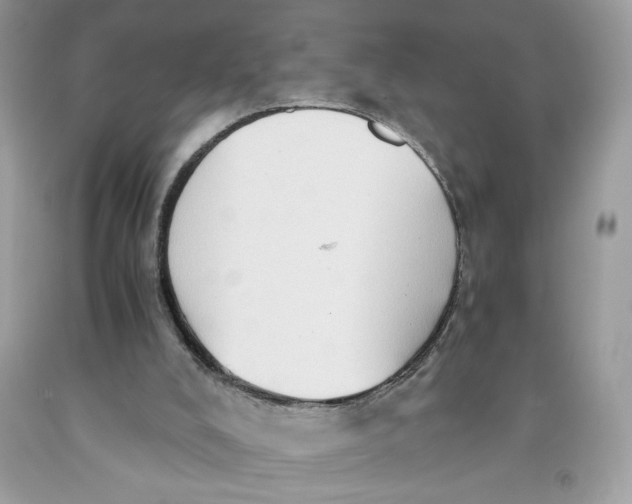 X0000091570008200709101006