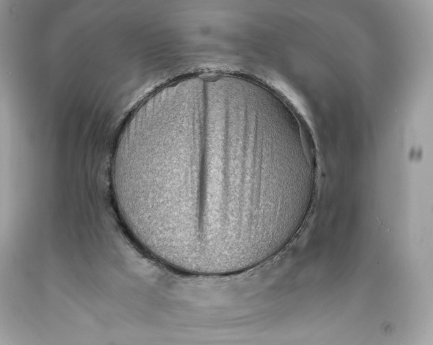 X0000091570009200709101006