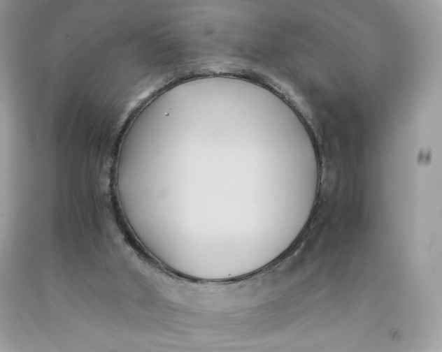 X0000091570010200709101006