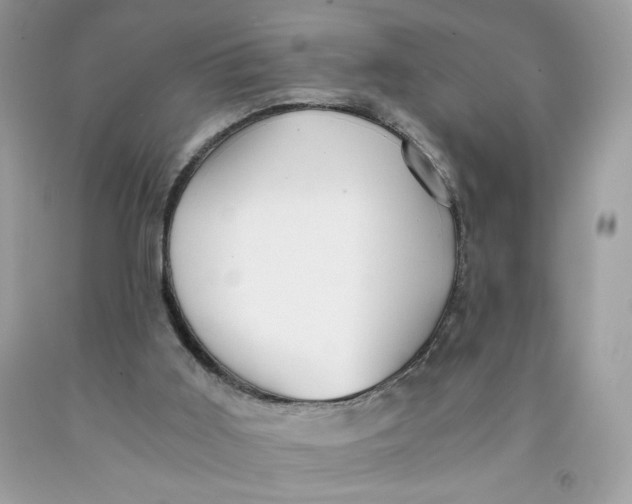 X0000091570011200709101006