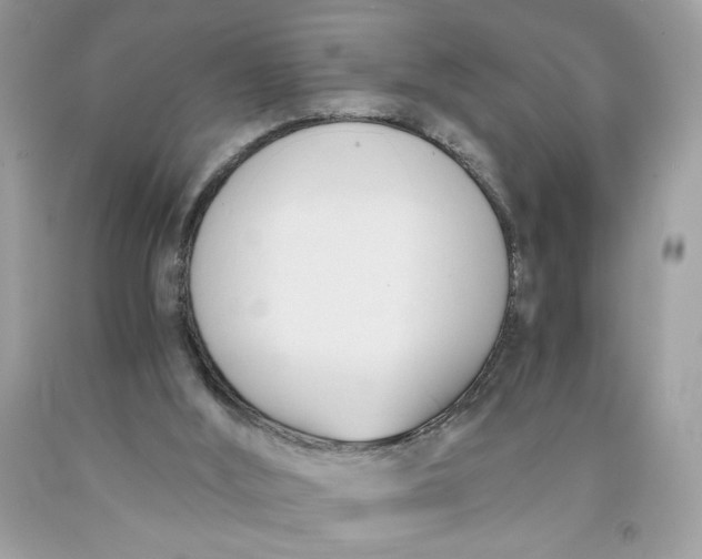 X0000091570012200709101006