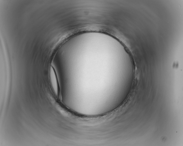 X0000091570013200709101006