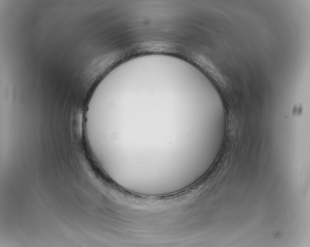 X0000091570014200709101006