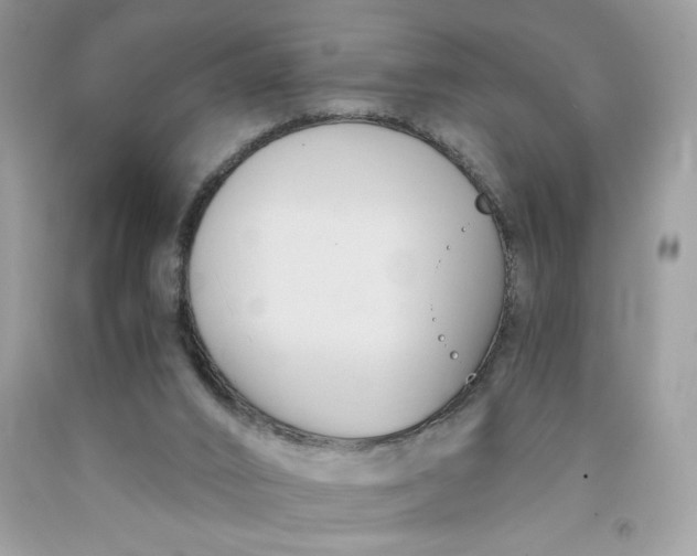 X0000091570016200709101006