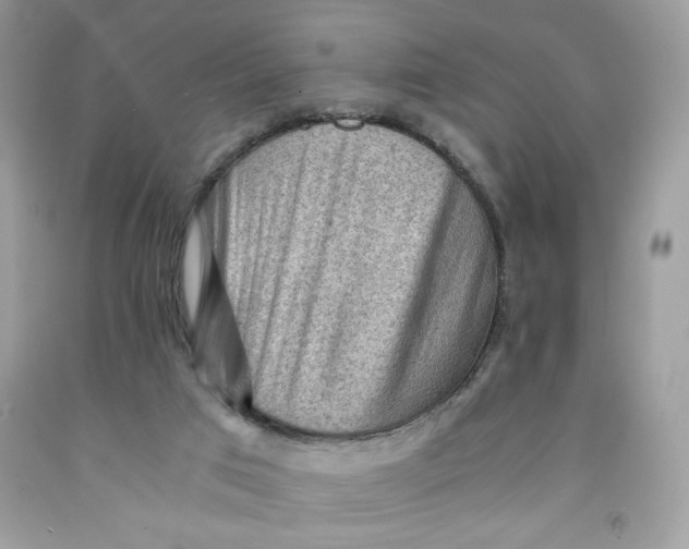 X0000091570017200709101006