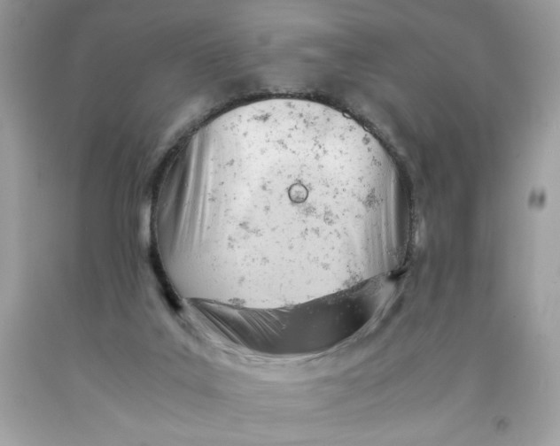 X0000091570019200709101006