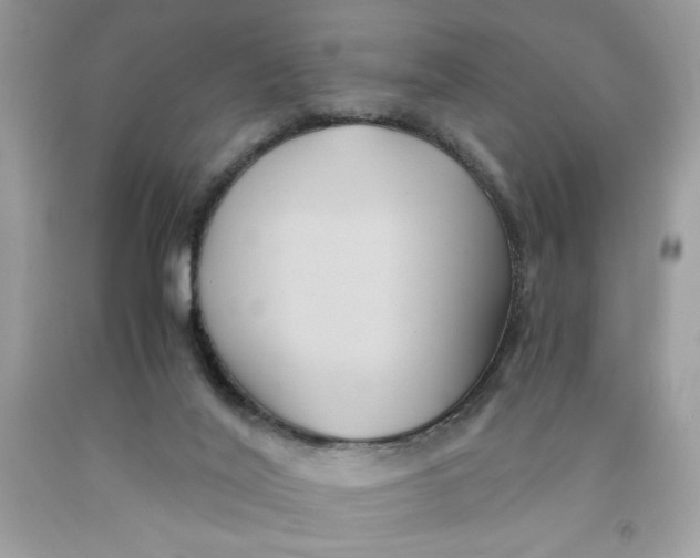 X0000091570020200709101006