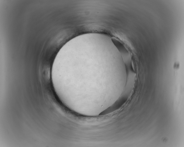 X0000091570021200709101006