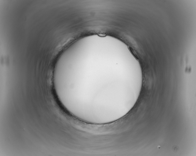 X0000091570023200709101006