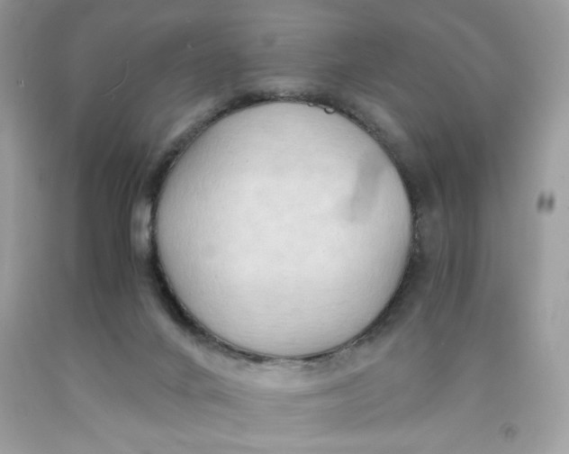 X0000091570024200709101006