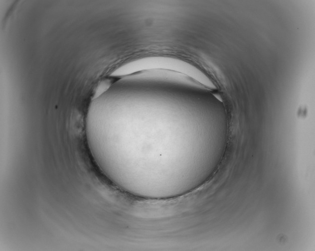 X0000091570025200709101006