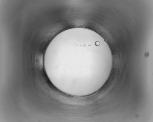 X0000091570028200709101006