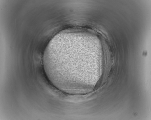 X0000091570029200709101006