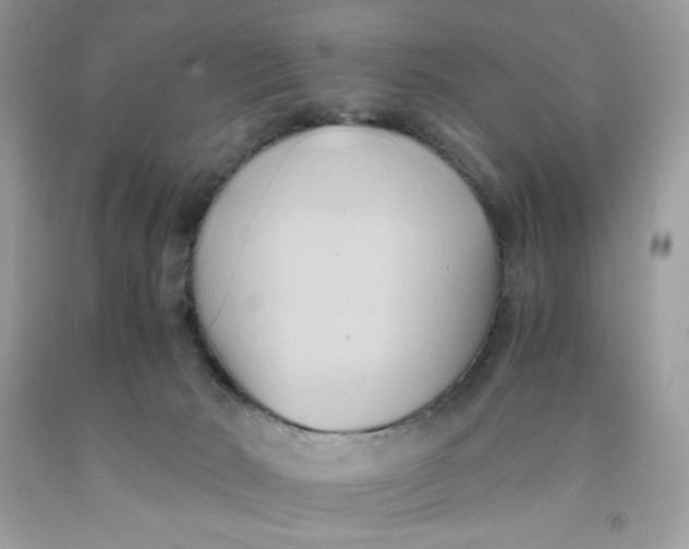 X0000091570030200709101006