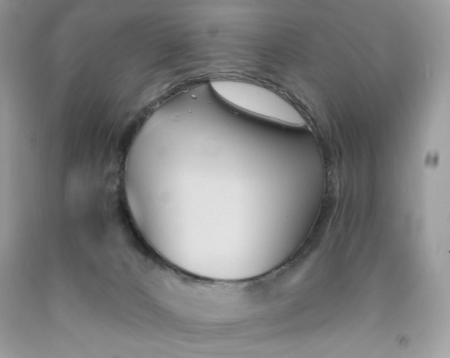 X0000091570032200709101006