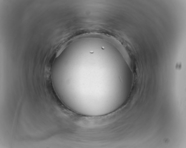 X0000091570033200709101006