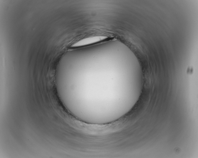 X0000091570034200709101006