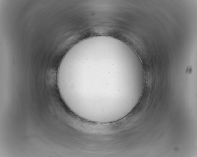 X0000091570036200709101006