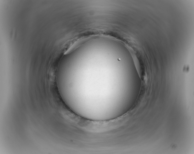 X0000091570037200709101006