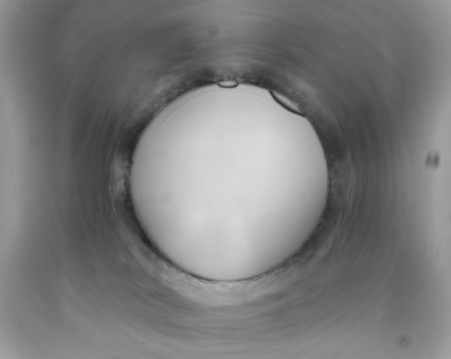 X0000091570038200709101006